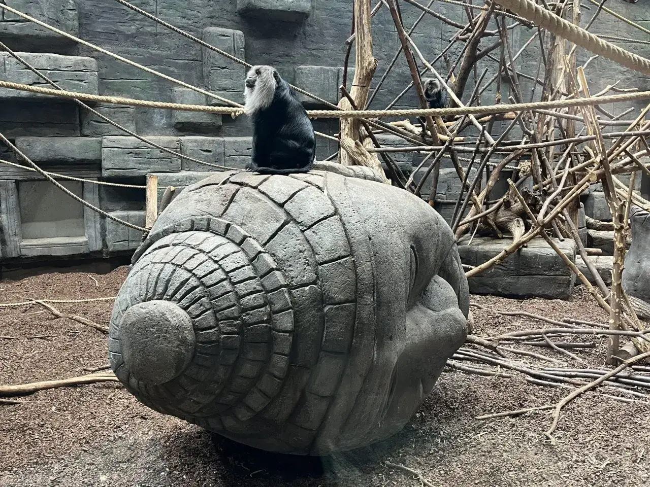 Orientarium ZOO Łódź Bilety: Ceny, Zniżki, Jak Kupić i Co Zobaczysz?