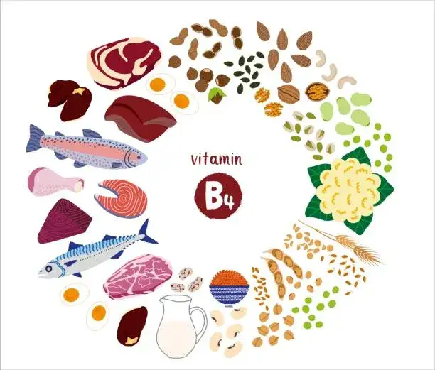 Vitamin B4: Wichtige Informationen über Mangel, Vorteile und Quellen