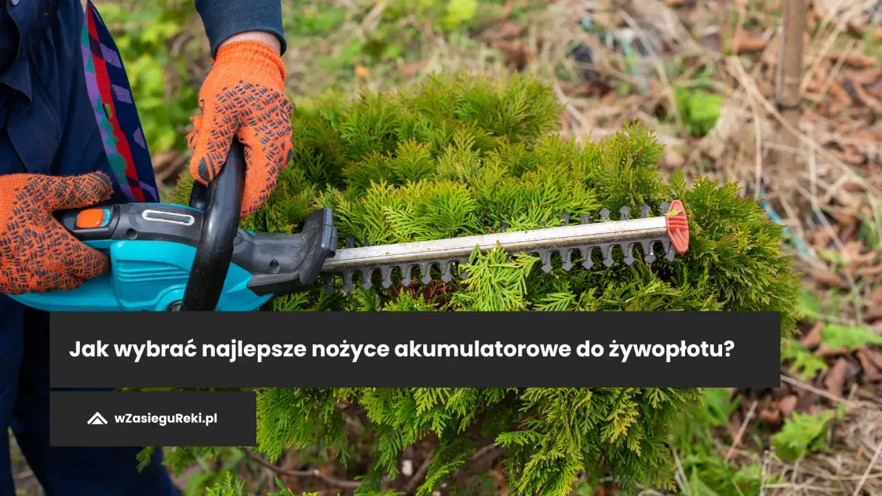 Nożyce akumulatorowe do krzewów: Jak wybrać najlepsze?