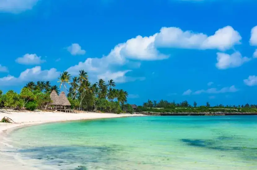 Lot do Zanzibar ile trwa: kompletny rozkład czasów przelotów z Polski