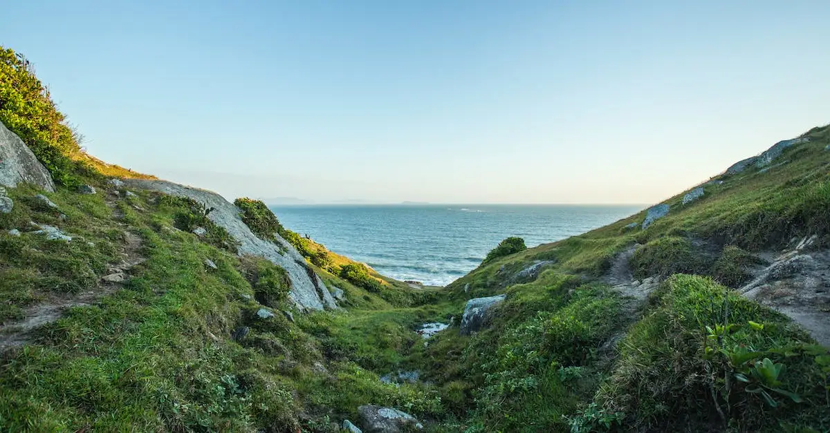 Co znaczy prawilnie? Sens tego słowa wyjaśniony w pełni