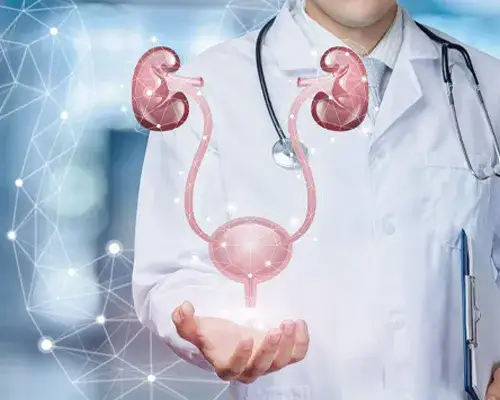 Urolog - co leczy ten lekarz i kiedy warto się zgłosić?