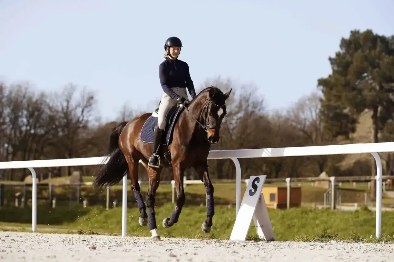 Kobieta w kasku i bryczesach jedzie na kasztanowatym koniu po piaskowym placu. Czy jazda konna odchudza? Aktywność fizyczna na świeżym powietrzu.