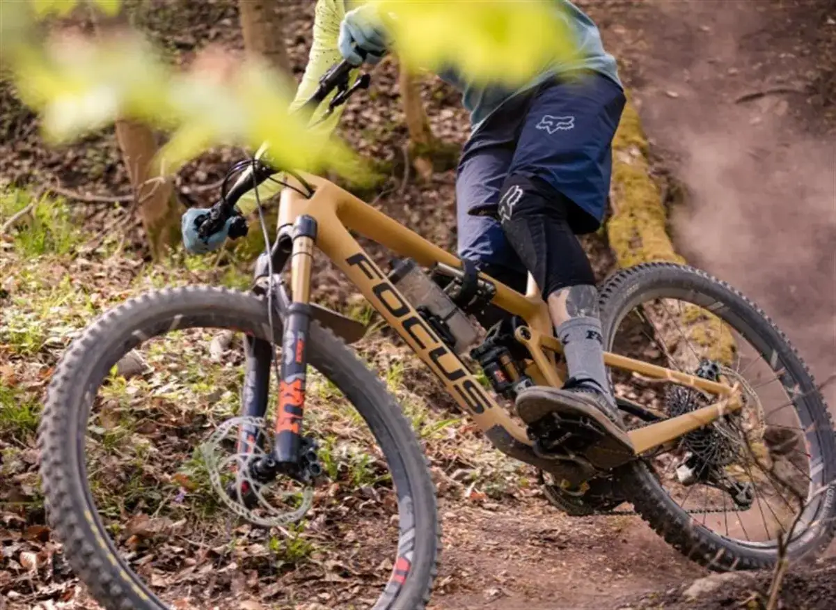 Kolarz na rowerze górskim z brązową ramą Focus, jadący po leśnej ścieżce.