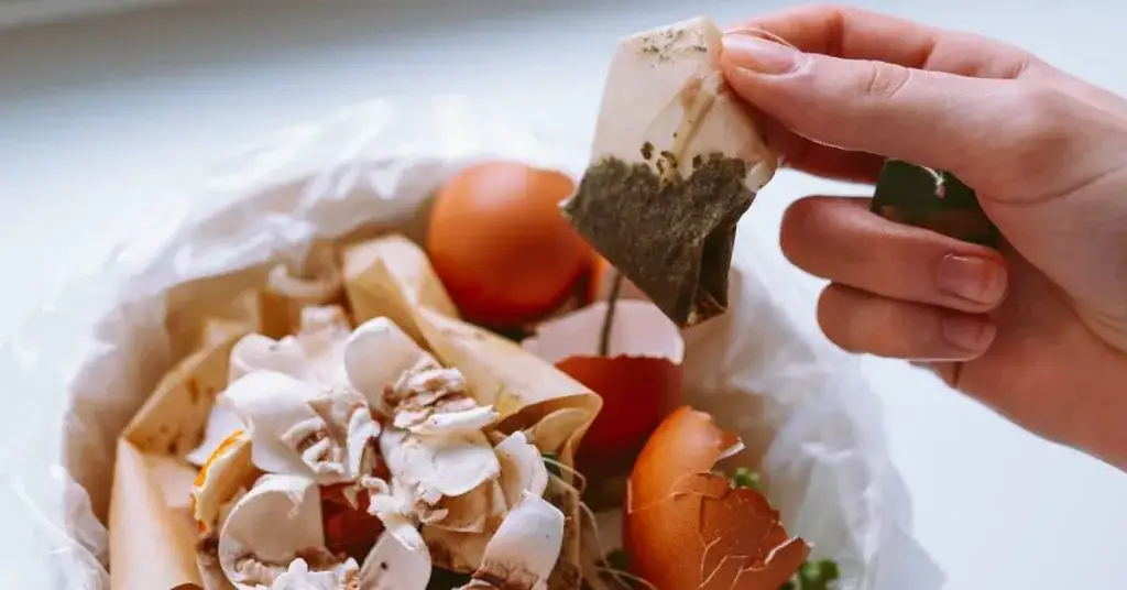 Jak zrobić nawóz w prosty sposób i poprawić wzrost roślin