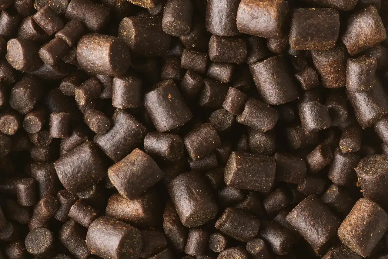 Zbliżenie na ciemnobrązowe granulki zanęty wędkarskiej. Dowiedz się, jak zrobić zanętę na ryby, używając tych składników.