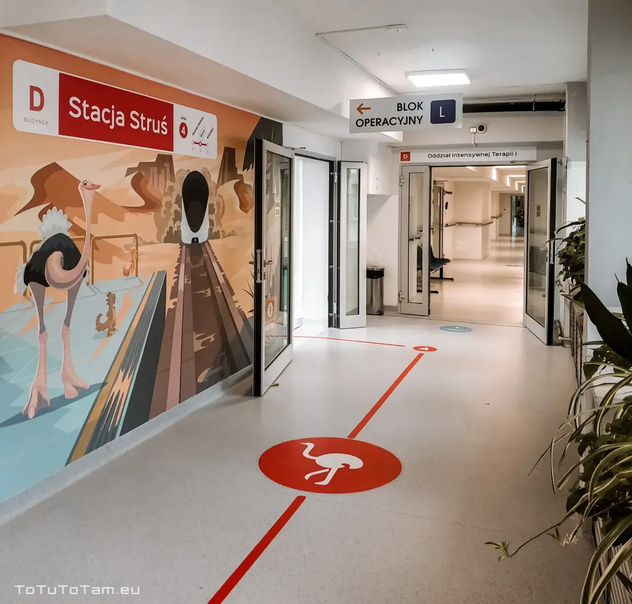 Szpital z dzieckiem: Co zabrać? Sprawdź pełną listę i zyskaj spokój!