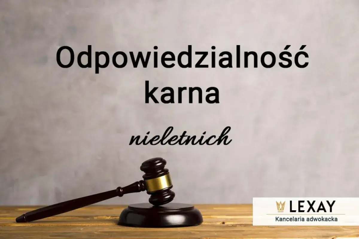 Prawnik może być karany? Rodzaje odpowiedzialności i konsekwencje