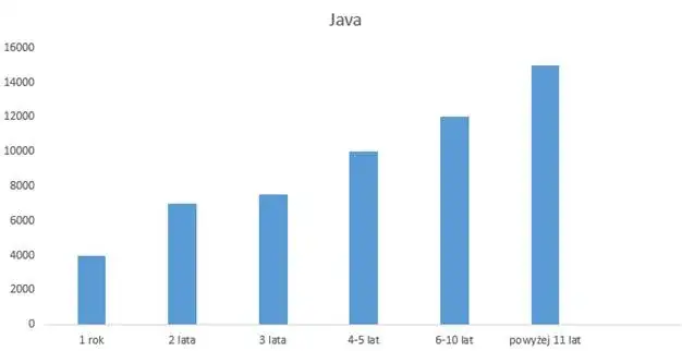 Ile zarabia programista w Polsce? Zaskakujące różnice w wynagrodzeniach