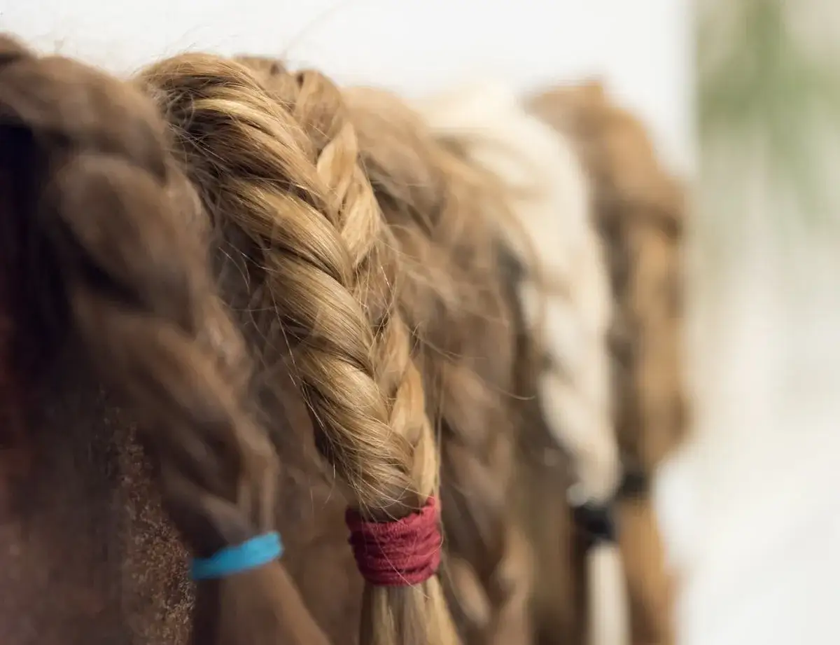 Haare spenden: Welche Mindestlänge zählt? Ihr Guide