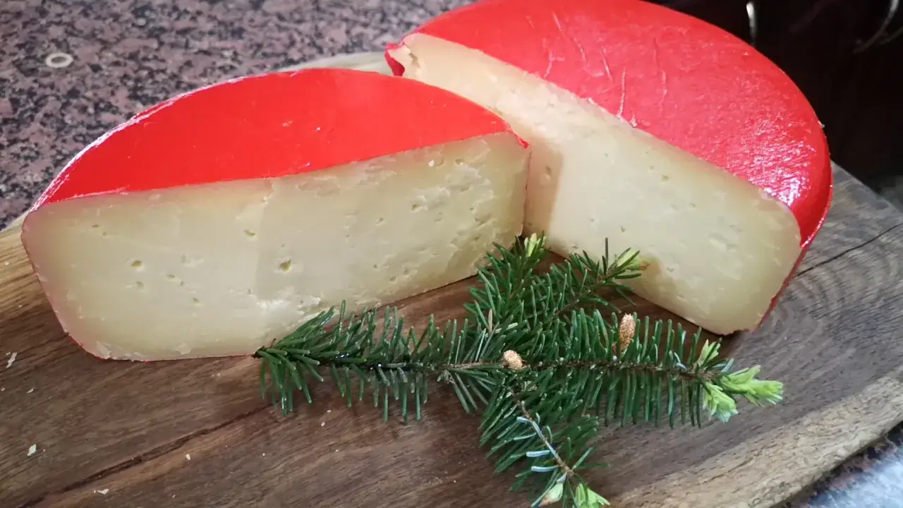 Jak zrobić masę serową na bryndzę? Twój domowy przewodnik