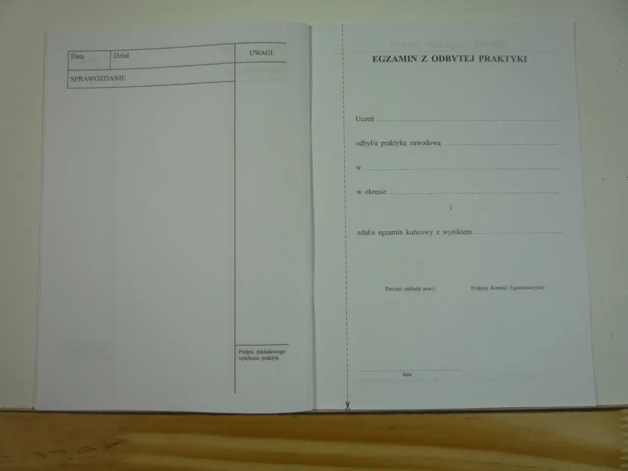 Formularz "Dziennik praktyki zawodowej jak wypełnić" zawiera sekcje na dane ucznia, przebieg praktyki i egzamin.