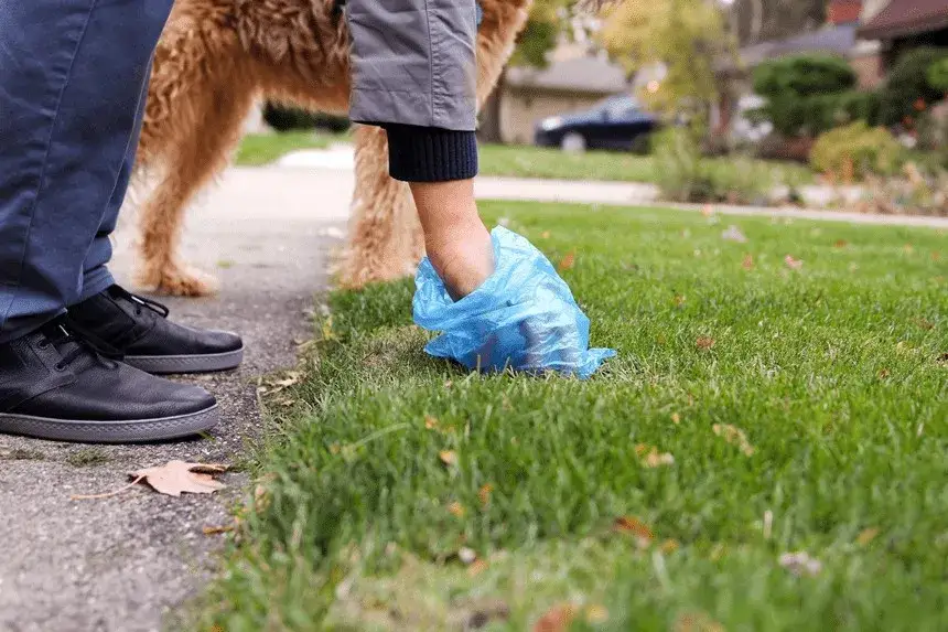 Kiedy nie trzeba sprzątać chodnika? Poznaj ważne przepisy prawne