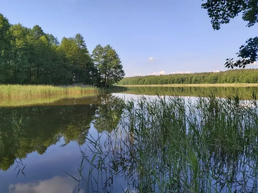 Jezioro Brajnickie: Odkryj wspaniałe miejsca do wędkowania i relaksu