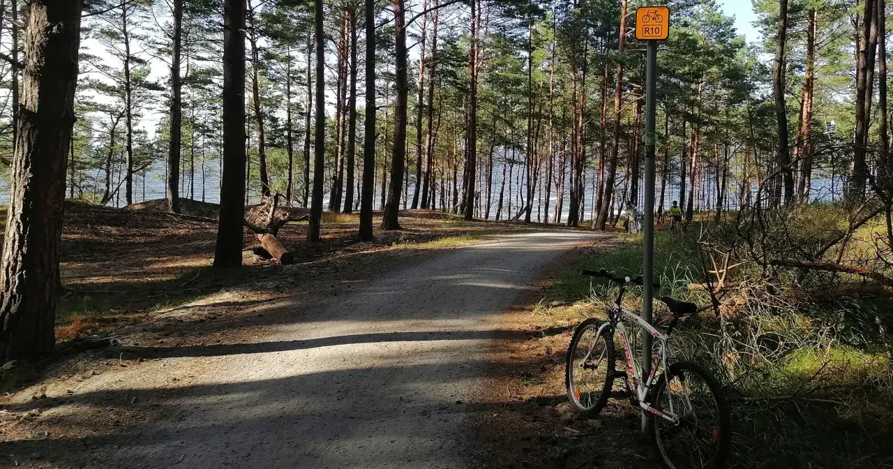 Najlepsze trasy rowerowe w Krynicy Morskiej - piękne widoki i atrakcje