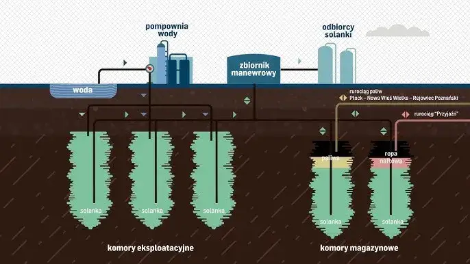 Jak powstaje ropa naftowa? Od planktonu do paliwa