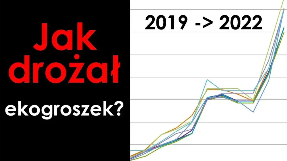 Kiedy ekogroszek stanieje? Sprawdź, co wpłynie na ceny węgla groszku
