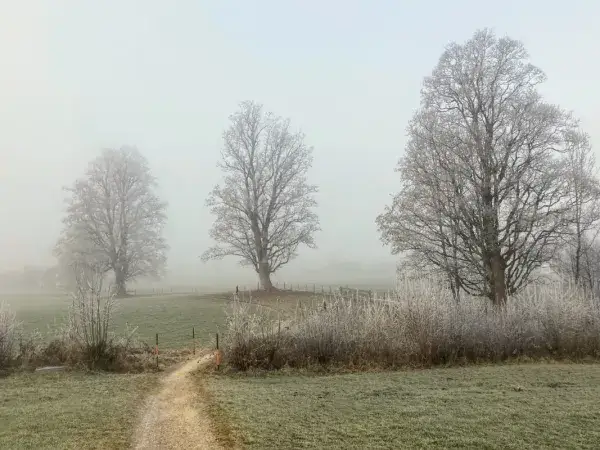 Jaka pogoda jutro w Kołobrzegu? Sprawdź, co cię czeka!