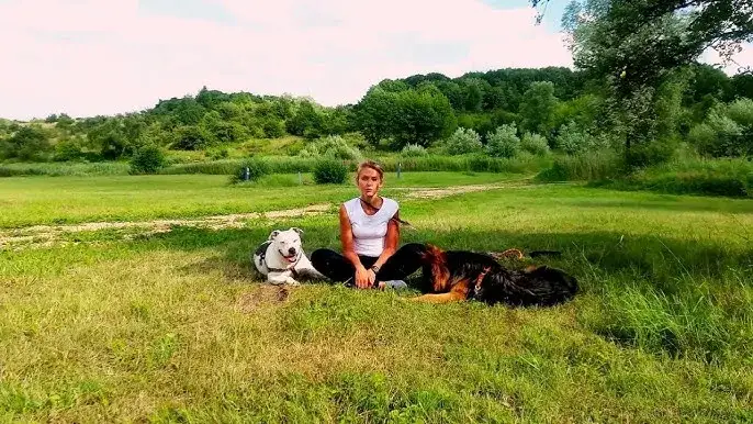 Kiedy zacząć szkolić szczeniaka? Odpowiedź Cię zaskoczy!