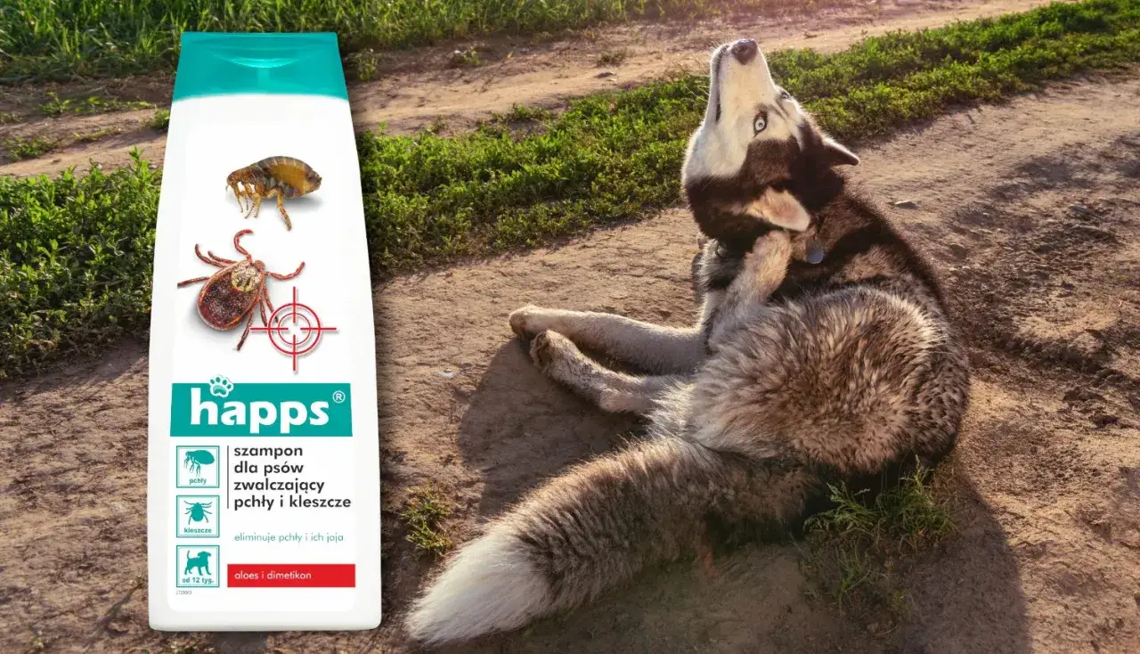 Czy szampon na pchły zabija kleszcze? Uważaj na kota!