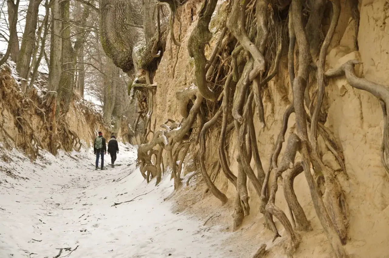 Kazimierz Dolny: atrakcje, wąwozy, rejsy. Jak zaplanować wyjazd?