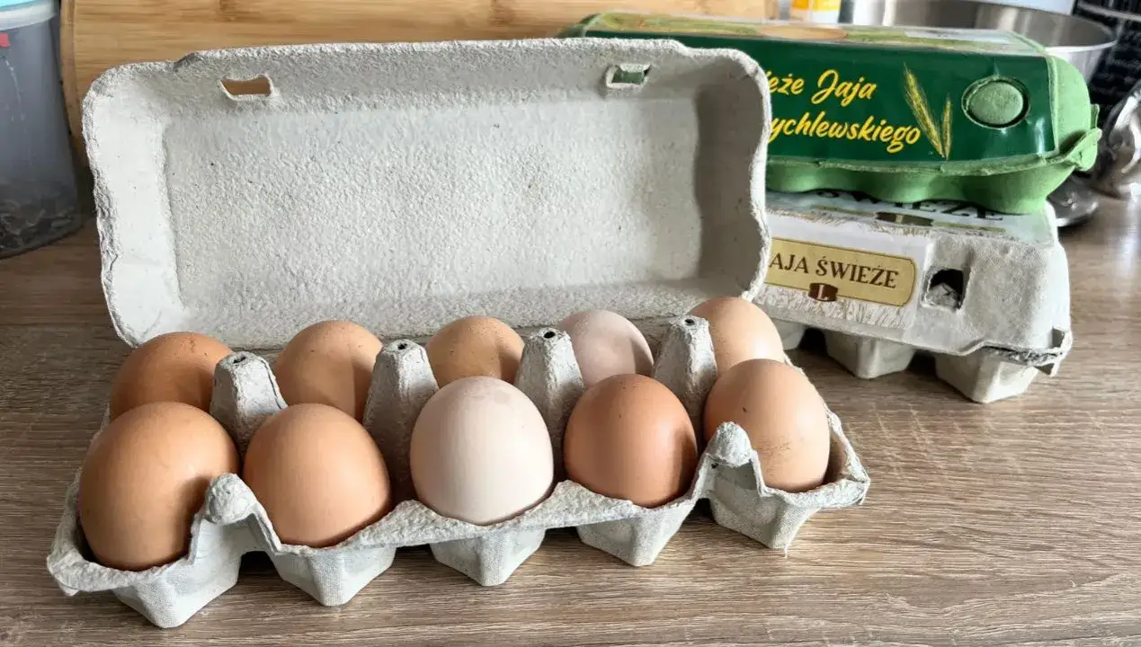 Wiejskie jajka: jak długo przechowywać bezpiecznie? Poznaj zasady