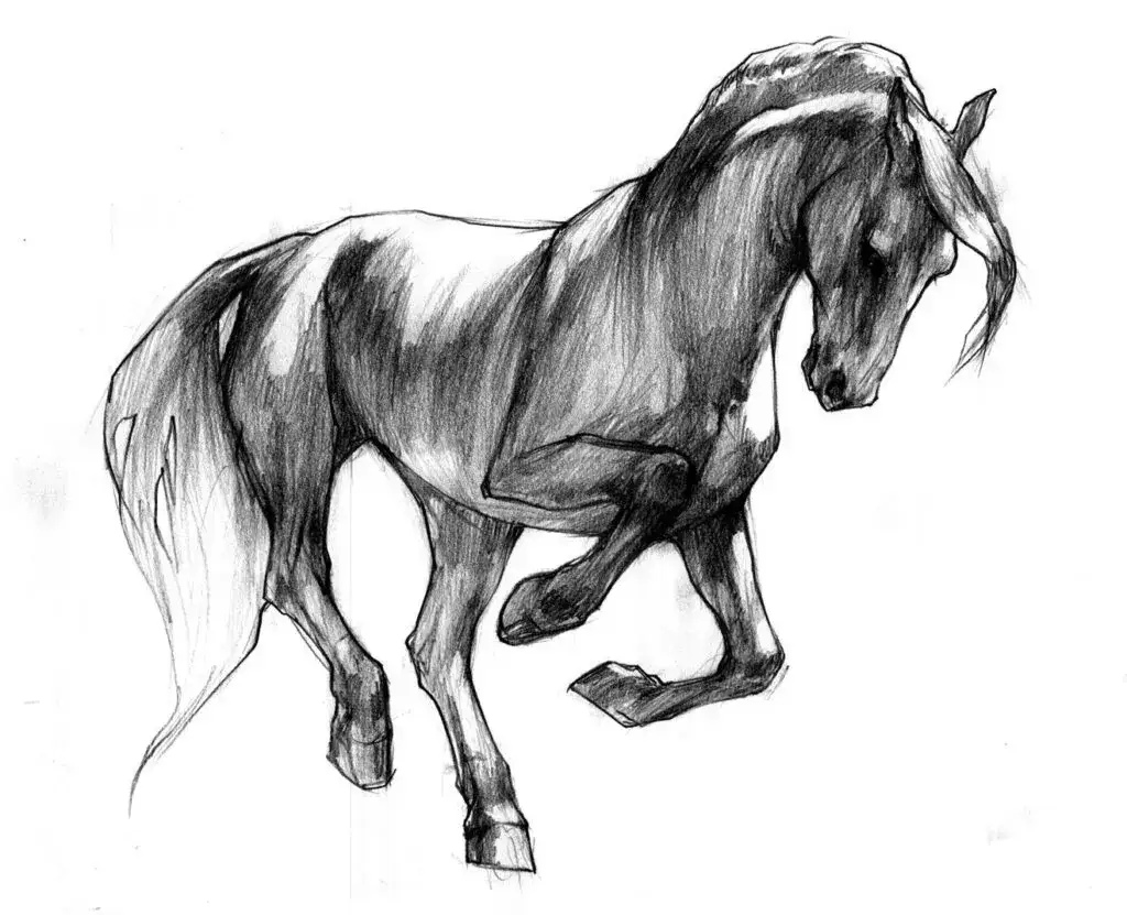 Narysuj konia w galopie: Sekret dynamiki od A do Z