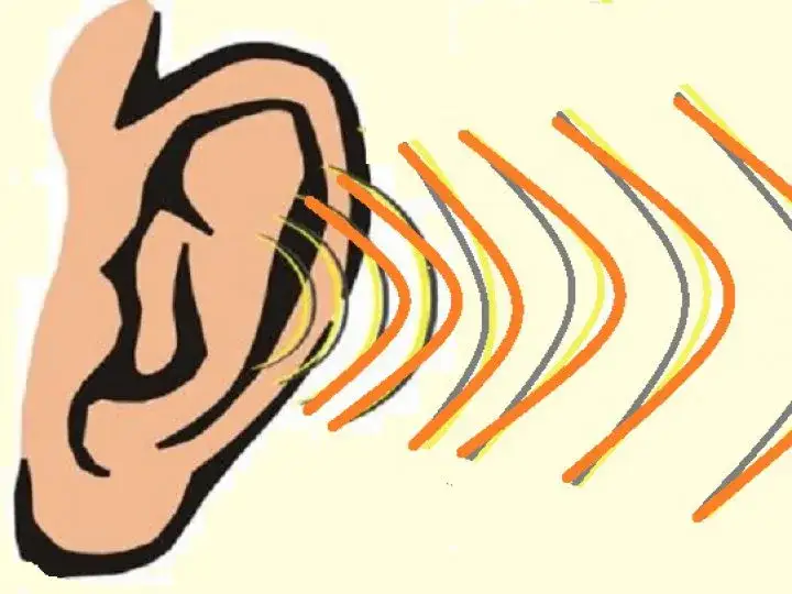 Jak głośny jest hałas od autostrady i jak wpływa na zdrowie?