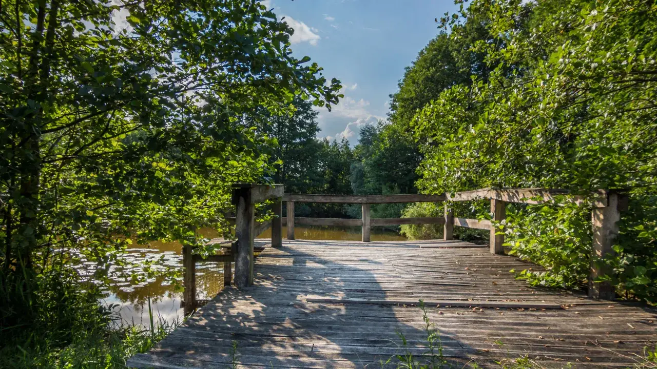 Jezioro Dworackie: piękne miejsce do wędkowania i wypoczynku na łonie natury