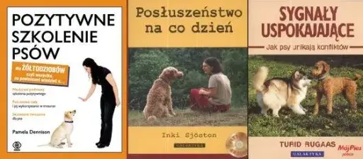 Jak tresować golden retrievera: skuteczne metody na posłuszeństwo