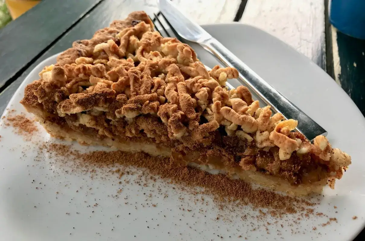 Kawałek szarlotki z kruszonką, posypany cynamonem. Czy to szarlotka, czy jabłecznik? Ta pyszna, domowa wersja z pewnością zadowoli każdego.