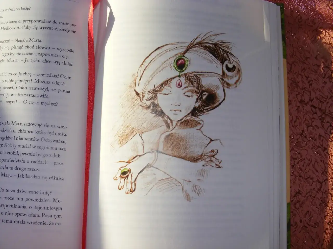 Tajemniczy ogród: Recenzja lektury czy warto otworzyć furtkę?