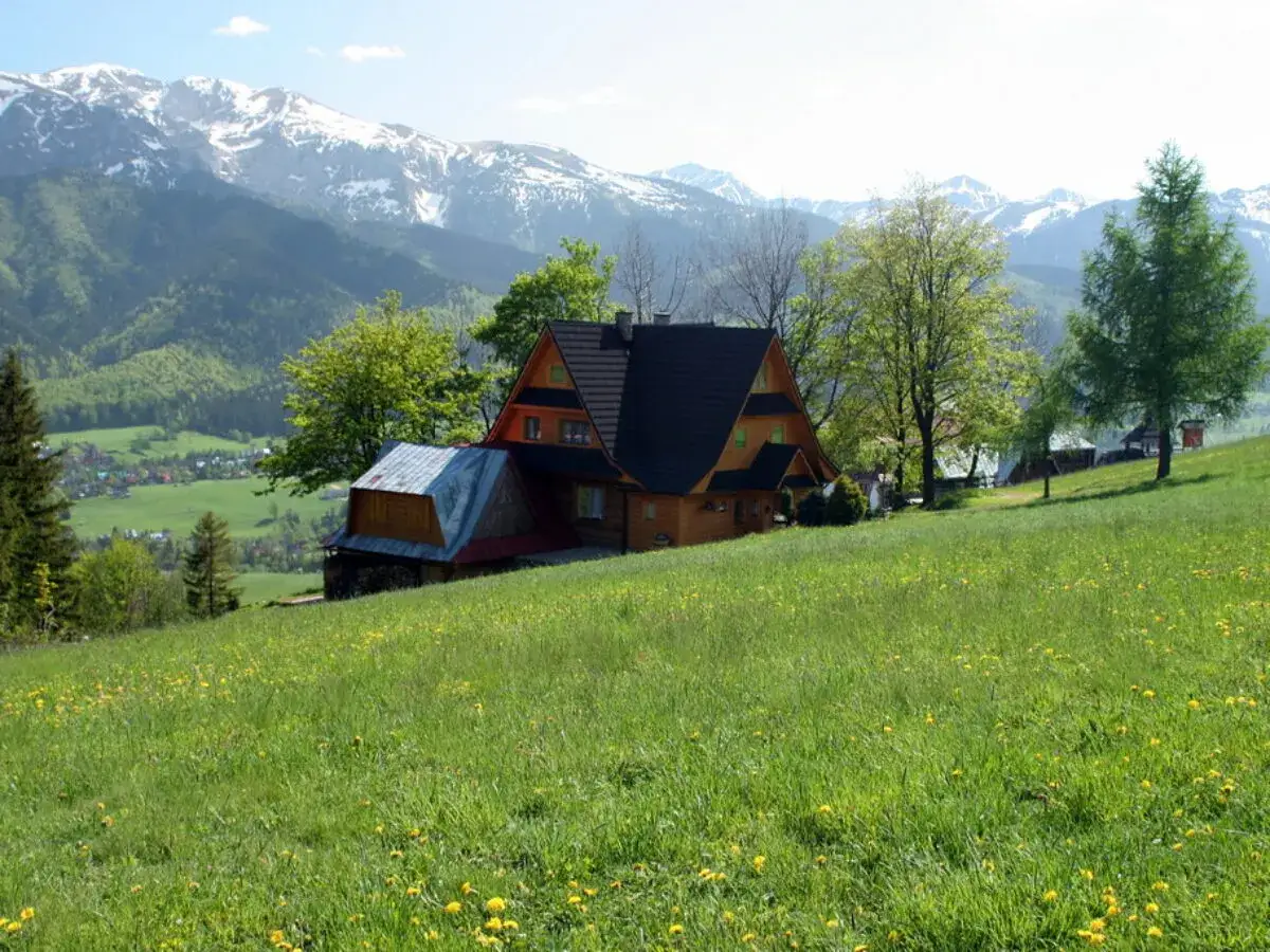 Twój przewodnik po Zakopanem: Atrakcje na każdą pogodę i budżet