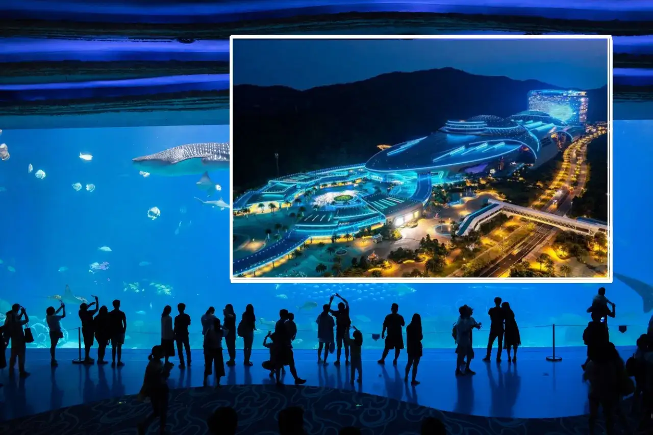 Największe oceanarium świata: Chimelong Ocean Kingdom czy warto?