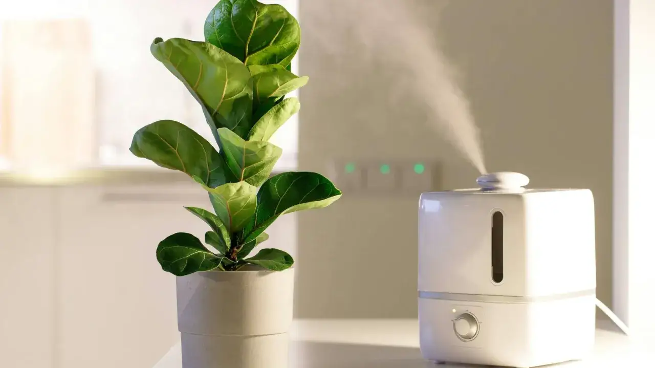 Jaka wilgotność nawilżacza powietrza jest optymalna dla Twojego domu