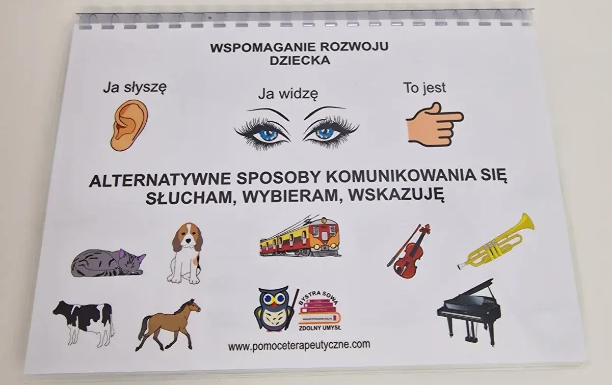 Alternatywne sposoby porozumiewania się osób niesłyszących, które działają