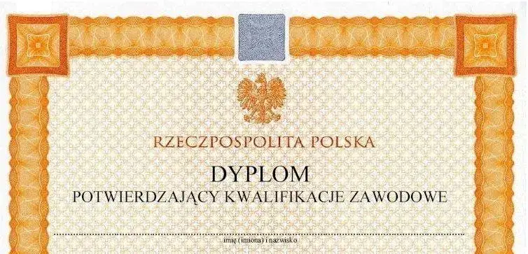 Czy trzeba zdać egzamin zawodowy, aby zdobyć dyplom i pracę?