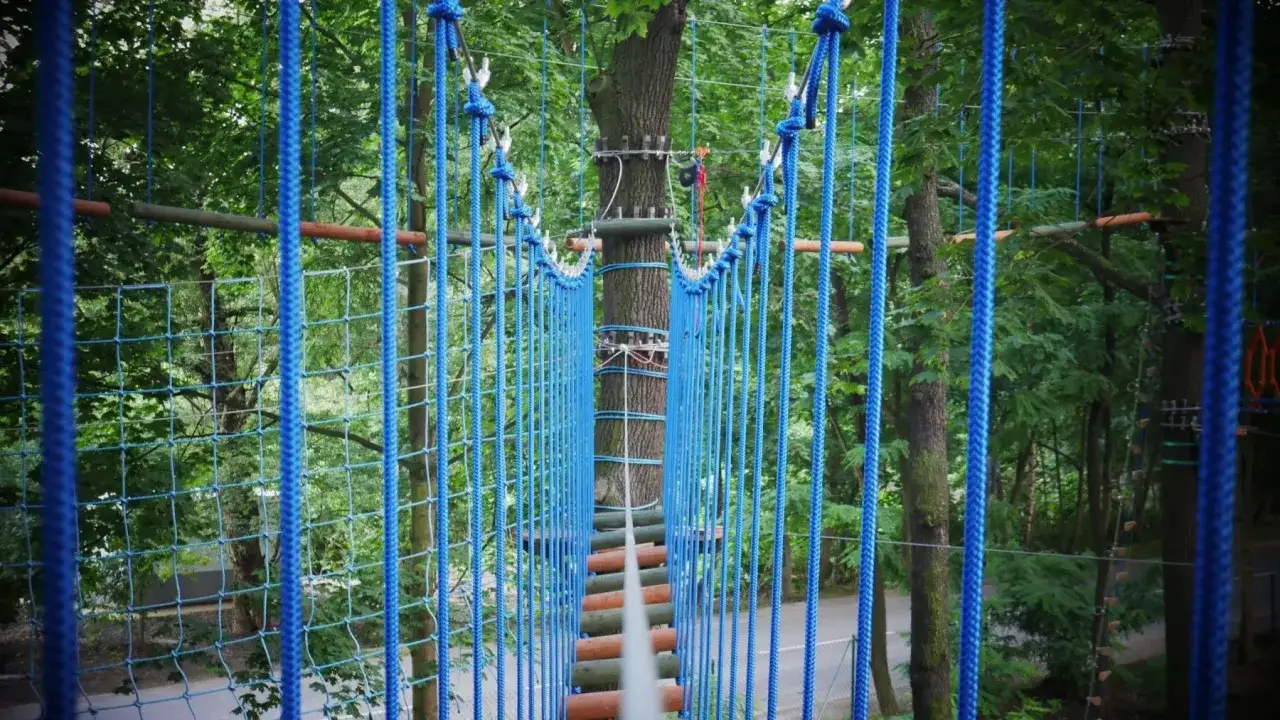 Park linowy Katowice - wyjątkowe atrakcje dla całej rodziny