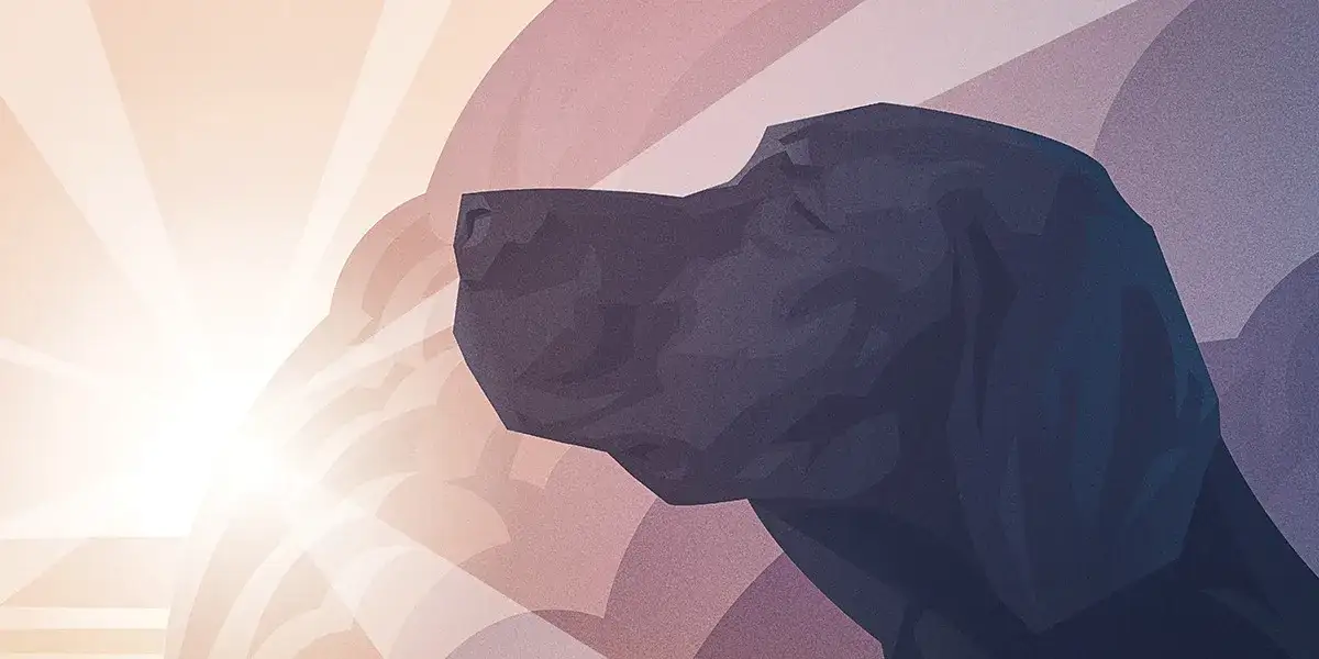 Czy pies ma duszę? Odpowiedzi z perspektywy religii, filozofii i nauki