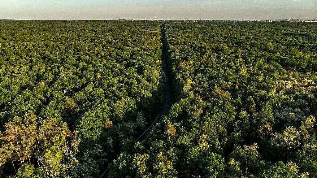 Najbliższe góry z Łodzi - idealne miejsca na weekendowe wypady