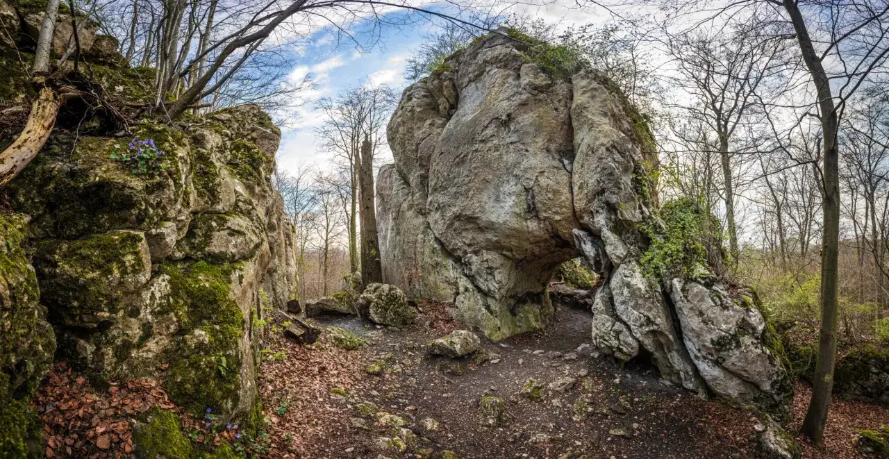Rezerwat Sokole Góry: Przewodnik po jurajskiej perle co warto zobaczyć?