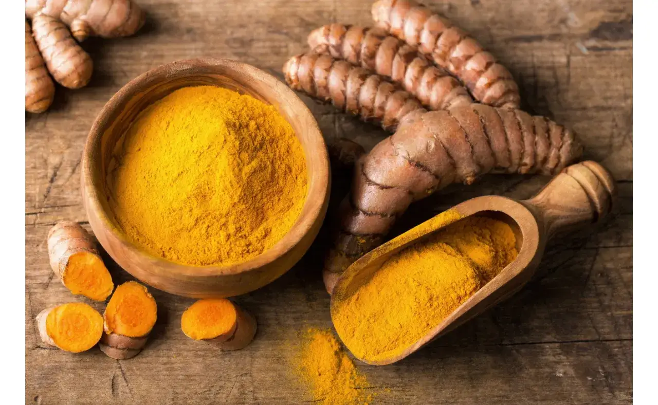 Kurkuma w proszku w misce i na łopatce, obok świeżych korzeni.