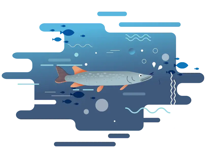 Jakie ryby są w Bałtyku? Odkryj tajemnice morskich gatunków