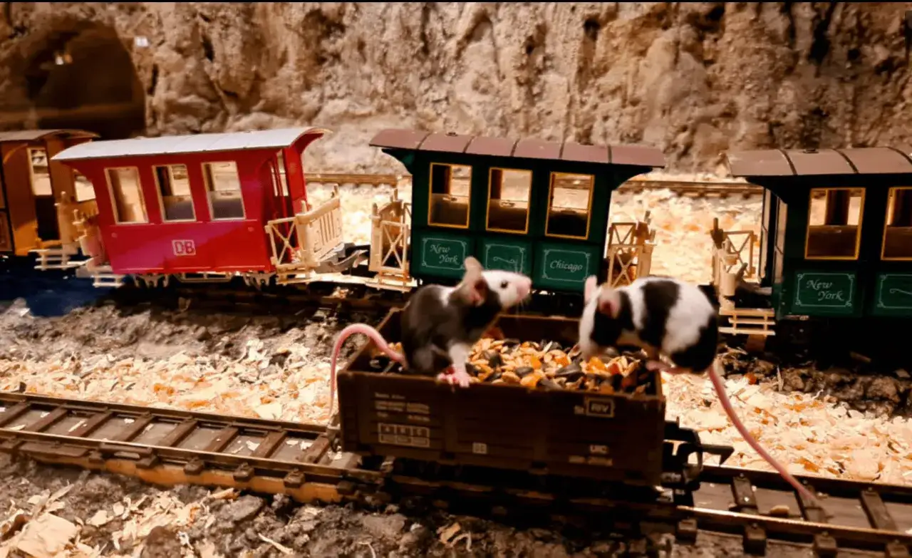 Czemu Myszogród w Zakopanem to must-see dla dzieci? 5 powodów