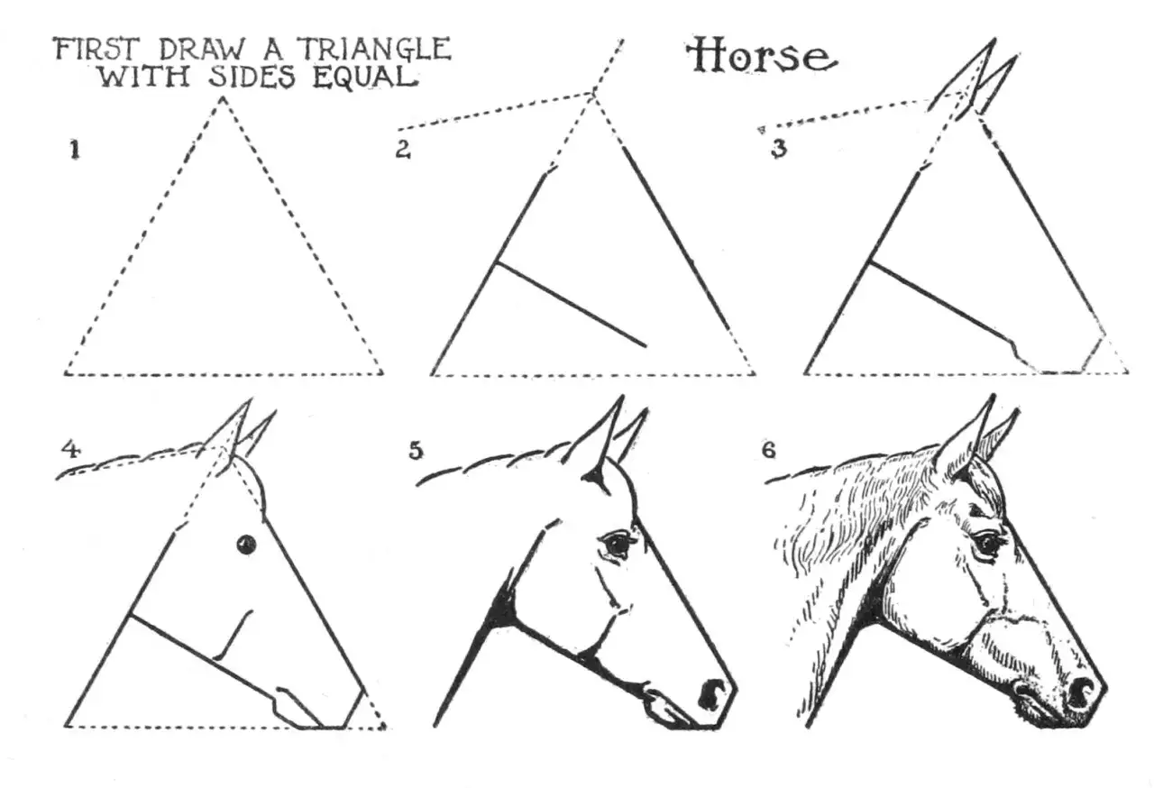 Jak narysować konia krok po kroku? Odczaruj rysunek!