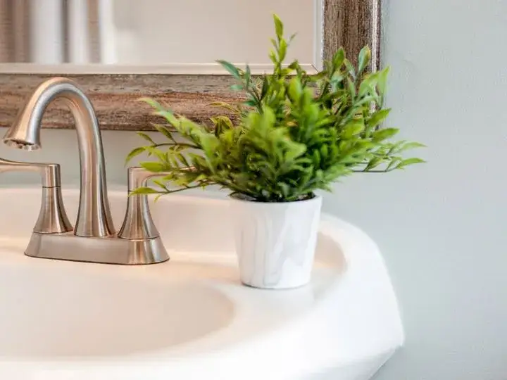 Jakie rośliny do łazienki bez okna? 7 najlepszych wyborów