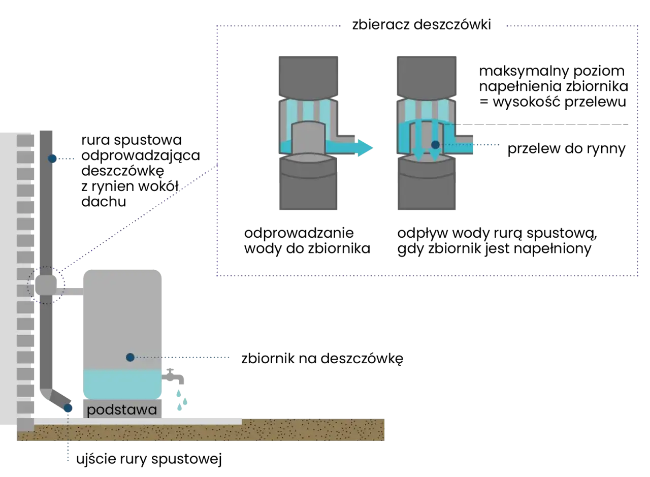 Studnia chłonna czy zbiornik na deszczówkę? Wybierz mądrze na 2026!
