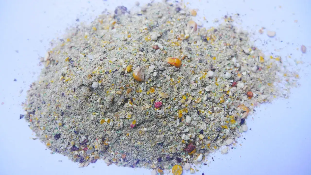 Wsypana na białe tło zanęta lin karaś, mieszanka ziaren, kukurydzy i drobnych składników, przyciągnie każdego karasia.