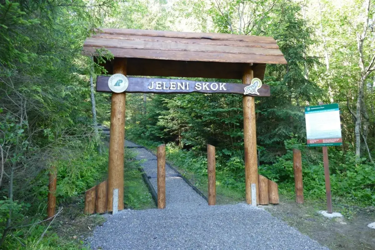Drewniana brama z napisem "JELENI SKOK" prowadząca na leśną ścieżkę.