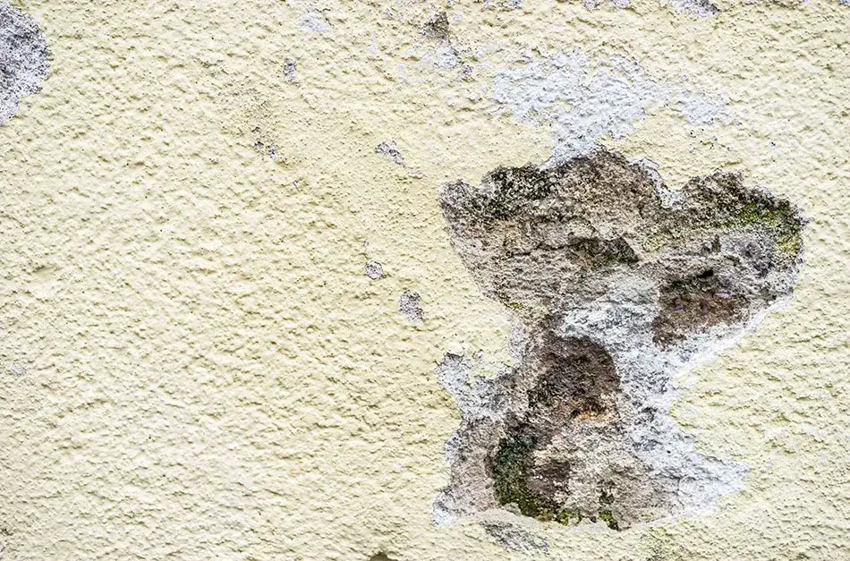 Jak naprawić dziurę w elewacji - uniknij kosztownych błędów w remoncie